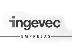 ingevec 1 300x225